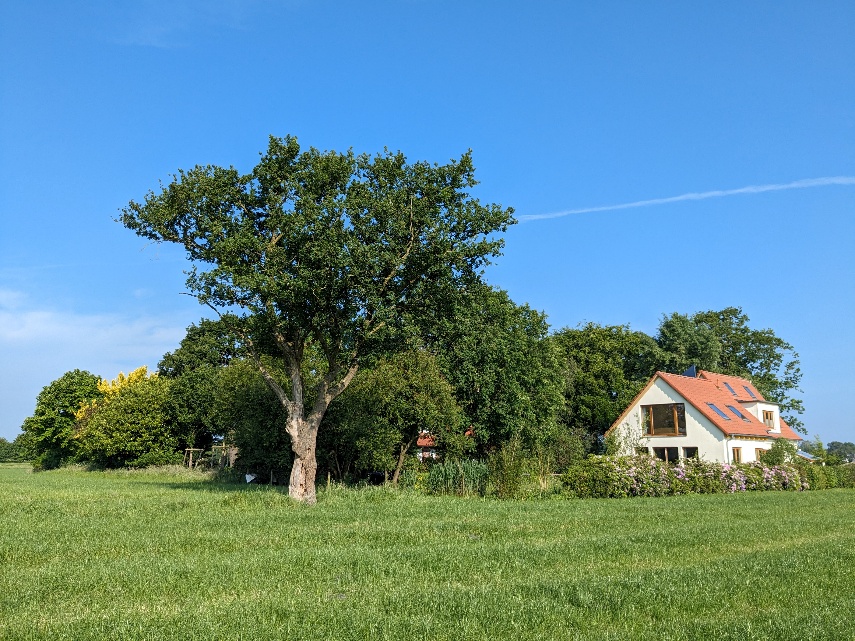 Umgebung – zentrales Motiv